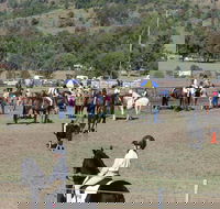 Gresford Agricultural Show - SA Accommodation