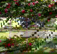 Griffith Spring Fest - SA Accommodation
