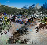 JetBlack Wild Wombat MTB Challenge - SA Accommodation