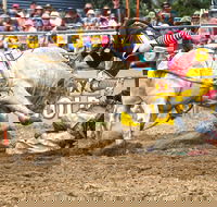 Jindabyne's Man From Snowy River Rodeo - SA Accommodation