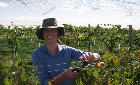 Kingsdale Wines - Cellar Door Wine Tastings - SA Accommodation 0