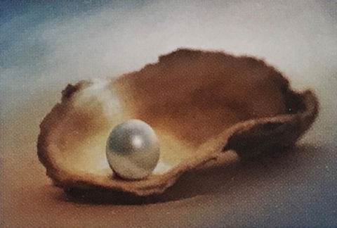 Lecture Cancelled:  ADFAS  Lecture (Half-Day) - Patricia Law Speaking On Pearls And Diamonds - SA Accommodation 0