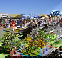 Maclean Community Monthly Markets - SA Accommodation