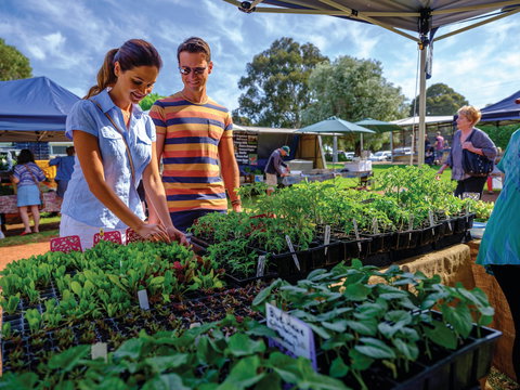 Margaret River Farmers Market - SA Accommodation 1