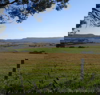Milton Village Showground Markets - SA Accommodation