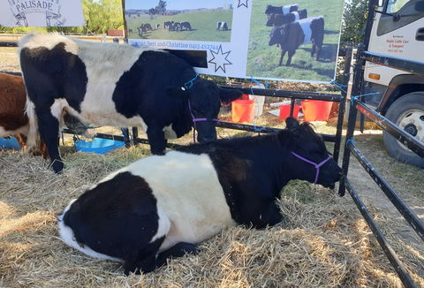 Murrumbateman Field Days - SA Accommodation 2