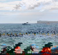 Nowra Toyota triHusky Huskisson Triathlon Festival Little Husky - SA Accommodation
