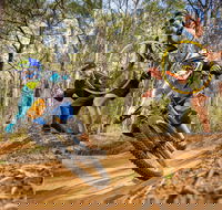 NSW State Downhill Mountain Bike Championships - SA Accommodation