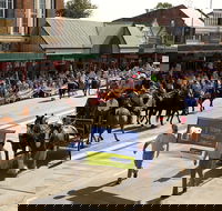 Scone Horse Festival - SA Accommodation