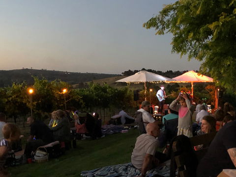 Thank God It's Friday Dinner - Vine And Dine - SA Accommodation 1
