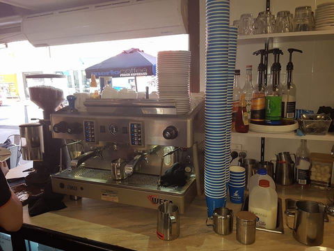 Keeping Healthy Backyard Chickens - SA Accommodation 2