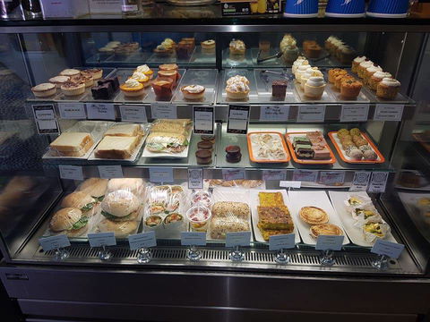 Keeping Healthy Backyard Chickens - SA Accommodation 4