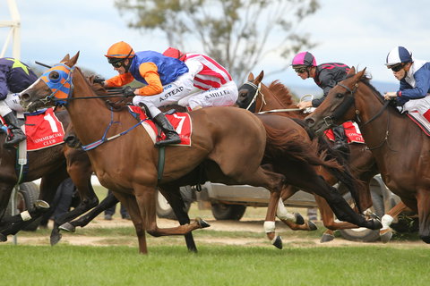 Albury Racing Club January Race Day - SA Accommodation 1