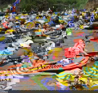 Australia Day Celebrations Gunnedah - SA Accommodation