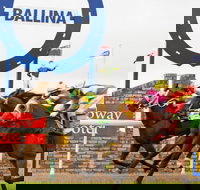 Ballina Boxing Day Races - SA Accommodation