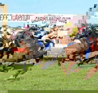 Casino Cup - SA Accommodation