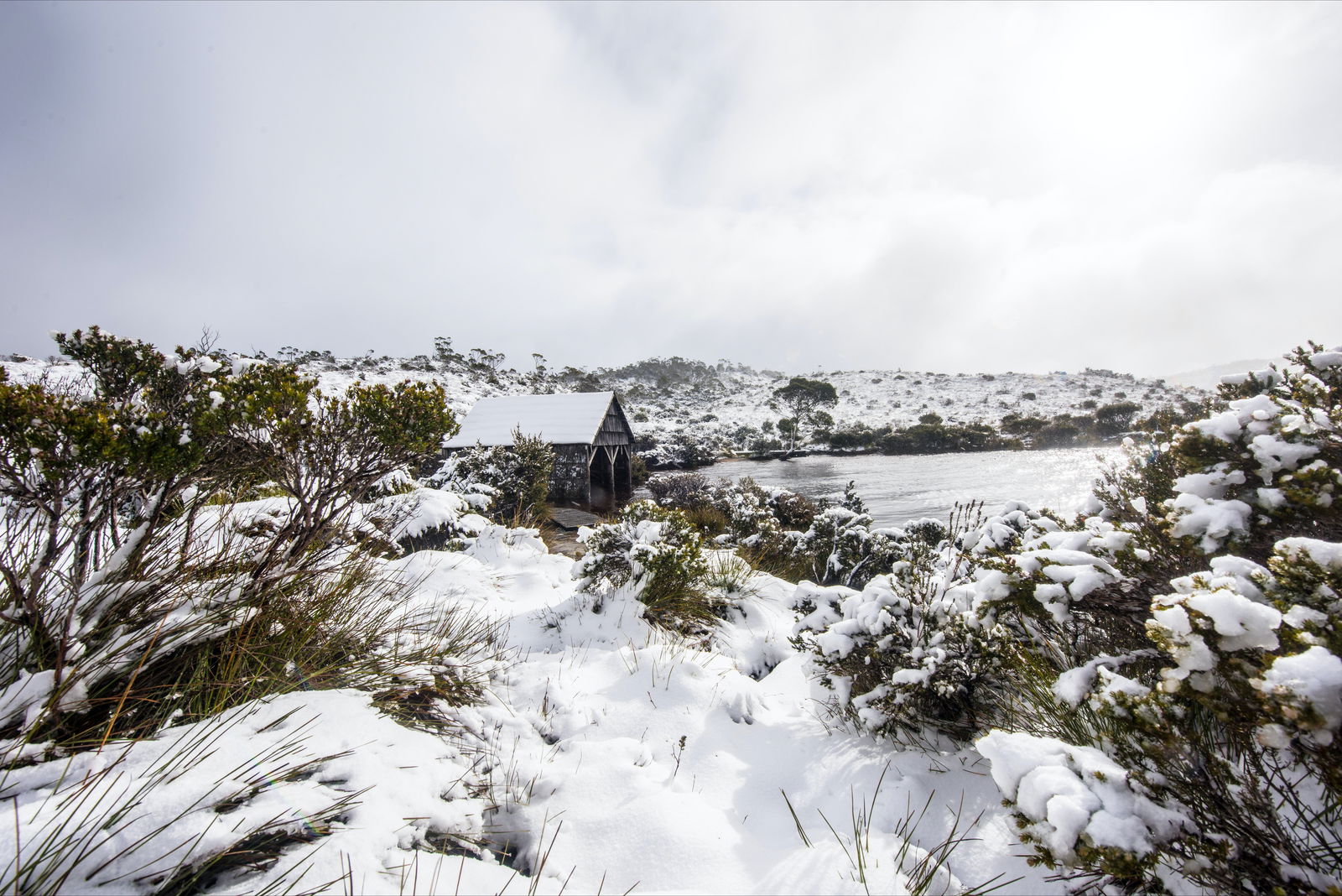 Cradle Mountain TAS SA Accommodation