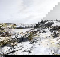 Christmas in July at Cradle Mountain Hotel 2020 - SA Accommodation