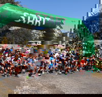 Coffs Harbour Running Festival - SA Accommodation