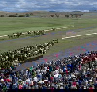 Cooma Sundowners Cup - SA Accommodation