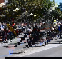 Corowa Rotary Federation Festival Parade - SA Accommodation