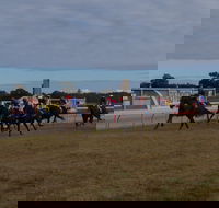 Corowa Horseraces - SA Accommodation