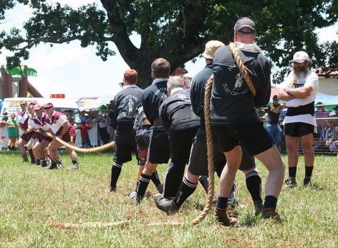 Dorrigo Agricultural Show - SA Accommodation 1