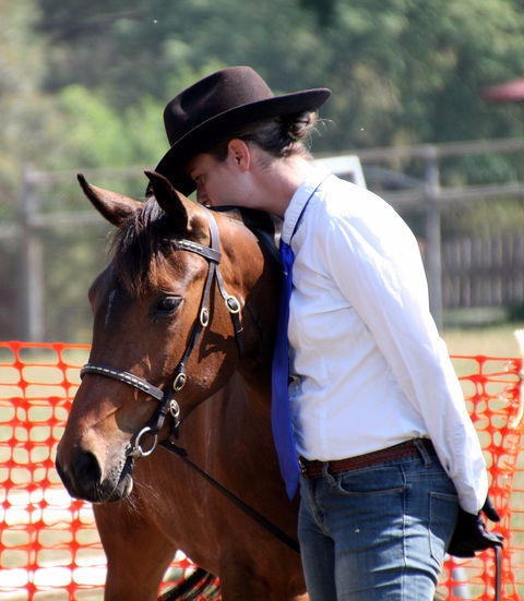Dorrigo Agricultural Show - SA Accommodation 2