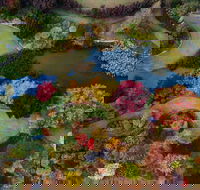 Glenrock Gardens Open Garden - SA Accommodation