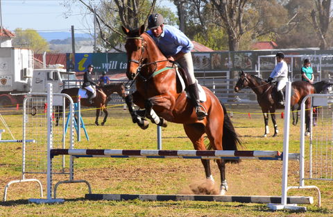 Glen Innes Pastoral And Agricultural Show - SA Accommodation 0