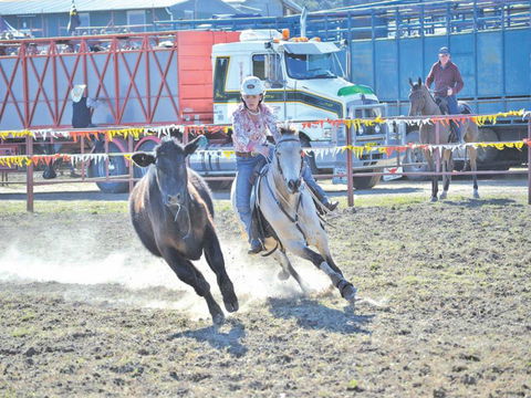 Gresford  Campdraft And Rodeo - SA Accommodation 0