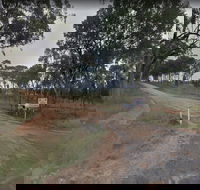 Hartwood Campfires and Country Music - SA Accommodation