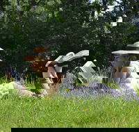 High Country Writers Festival - SA Accommodation