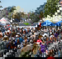 Hunter Valley Caravan Camping 4WD Fish and Boat Show - SA Accommodation