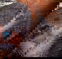 Learn all about Australia's Hidden Treasures - The Kimberley - SA Accommodation