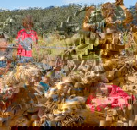 Mini Muddies Obstacle Challenge at Bunnamagoo Estate - SA Accommodation