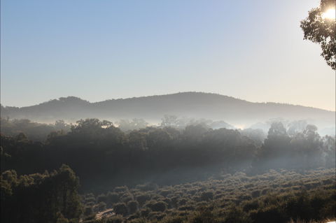 Mudgeeque - SA Accommodation 0