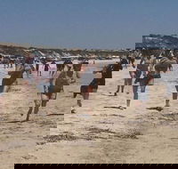 Perlubie Beach Sports Day - SA Accommodation