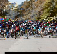Wagga Lake Run Ride - SA Accommodation