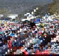 AgQuip - SA Accommodation