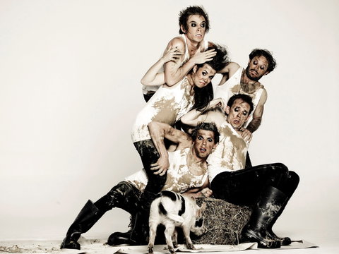 Animal Farm - Launceston - SA Accommodation 0