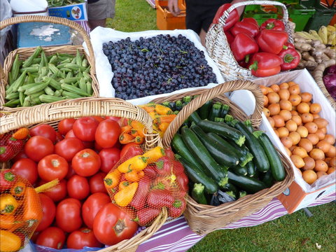 Armidale Farmers' Market - SA Accommodation 1