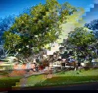 Big Bat Wildlife and Eco Festival - SA Accommodation