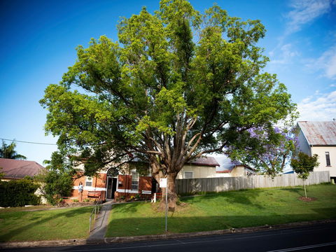 Big Bat Wildlife And Eco Festival - SA Accommodation 0