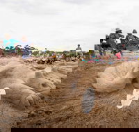 Broulee New Year's Eve Sandcastles and Sculptures - SA Accommodation