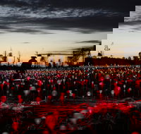 Field of Light Uluru - SA Accommodation