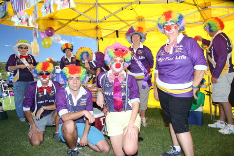 Grafton Relay For Life - NSW Cancer Council - SA Accommodation 0