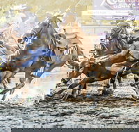 Gundagai Rodeo - SA Accommodation