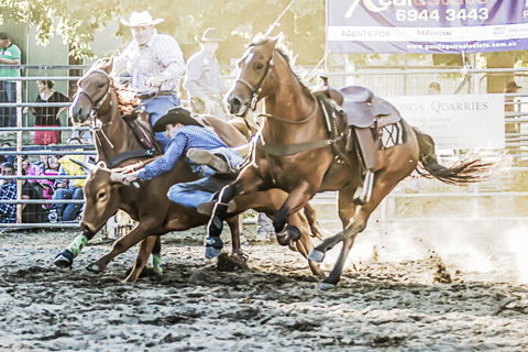 Gundagai Rodeo - SA Accommodation 0