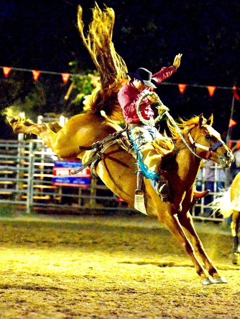 Gundagai Rodeo - SA Accommodation 1